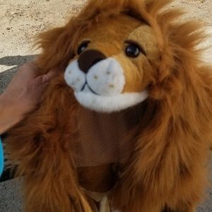 Kids lion costume